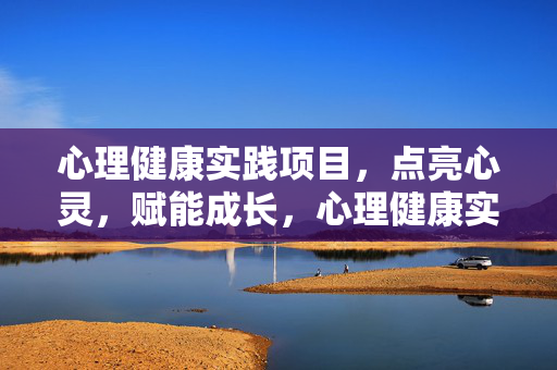 心理健康实践项目，点亮心灵，赋能成长，心理健康实践项目，点亮心灵，赋能成长