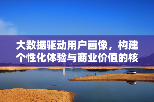 大数据驱动用户画像，构建个性化体验与商业价值的核心引擎，大数据驱动用户画像，个性化体验与商业价值的核心引擎