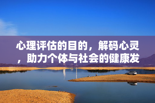 心理评估的目的，解码心灵，助力个体与社会的健康发展，心理评估，解码心灵，助力个体与社会健康发展