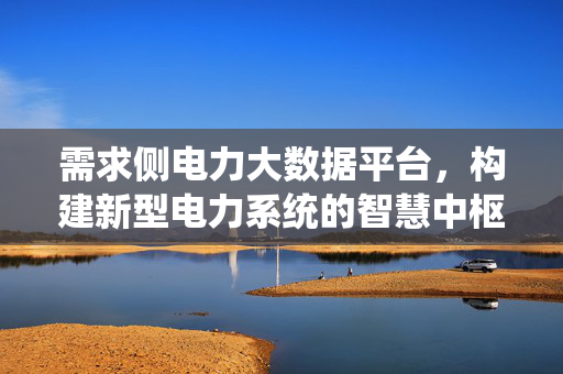 需求侧电力大数据平台，构建新型电力系统的智慧中枢，需求侧电力大数据平台，新型电力系统的智慧中枢