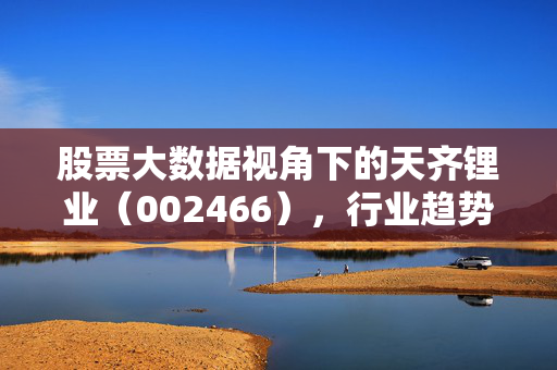 股票大数据视角下的天齐锂业（002466），行业趋势与投资价值分析，股票大数据视角下天齐锂业（002466），行业趋势与投资价值分析