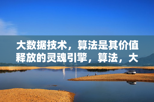 大数据技术，算法是其价值释放的灵魂引擎，算法，大数据技术价值释放的灵魂引擎