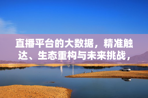 直播平台的大数据，精准触达、生态重构与未来挑战，直播平台大数据，精准触达、生态重构与未来挑战