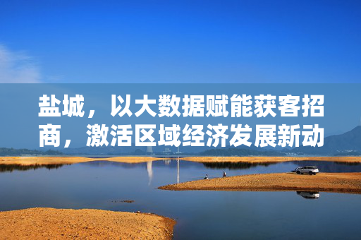 盐城，以大数据赋能获客招商，激活区域经济发展新动能，盐城大数据赋能获客招商 激活经济新动能