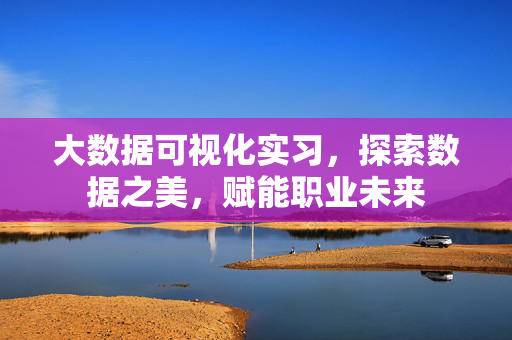 大数据可视化实习，探索数据之美，赋能职业未来