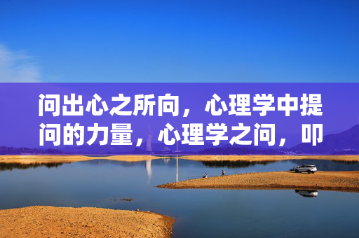 问出心之所向，心理学中提问的力量，心理学之问，叩开心之所向的力量