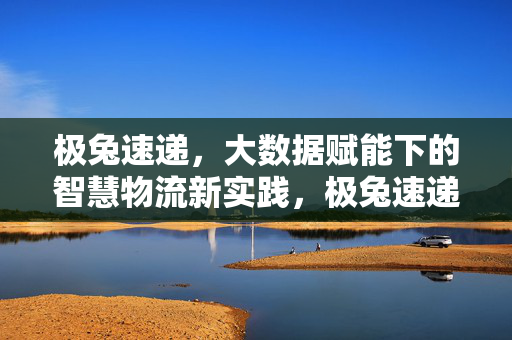 极兔速递，大数据赋能下的智慧物流新实践，极兔速递大数据赋能智慧物流新实践
