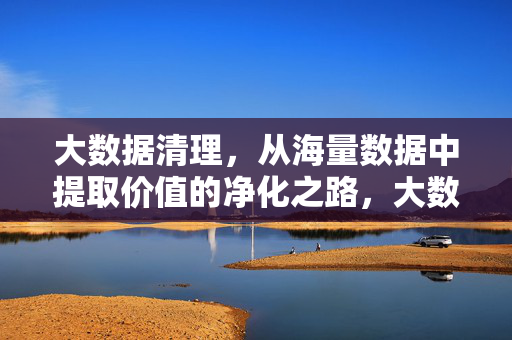 大数据清理，从海量数据中提取价值的净化之路，大数据清理，海量数据的价值净化之路