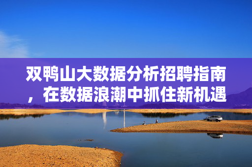双鸭山大数据分析招聘指南，在数据浪潮中抓住新机遇，双鸭山大数据分析招聘，数据浪潮中的新机遇