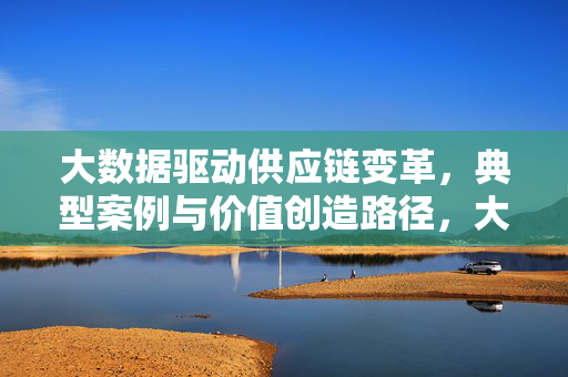 大数据驱动供应链变革，典型案例与价值创造路径，大数据驱动供应链变革，典型案例与价值创造路径