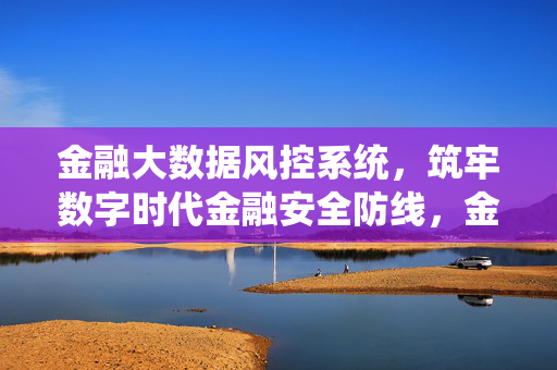 金融大数据风控系统，筑牢数字时代金融安全防线，金融大数据风控系统，筑牢数字时代金融安全防线