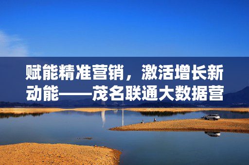 赋能精准营销，激活增长新动能——茂名联通大数据营销系统的创新实践，茂名联通大数据营销系统，精准营销赋能增长新动能