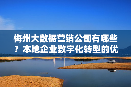 梅州大数据营销公司有哪些？本地企业数字化转型的优选伙伴，梅州大数据营销公司，本地企业数字化转型的优选伙伴