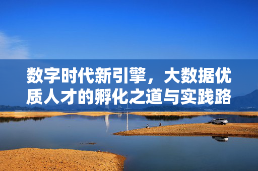 数字时代新引擎，大数据优质人才的孵化之道与实践路径，数字时代新引擎，大数据优质人才的孵化之道与实践路径