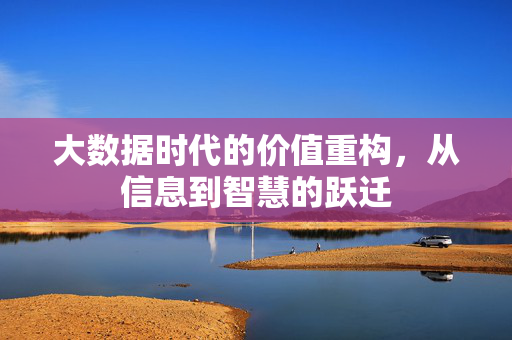 大数据时代的价值重构，从信息到智慧的跃迁