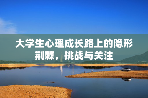 大学生心理成长路上的隐形荆棘，挑战与关注