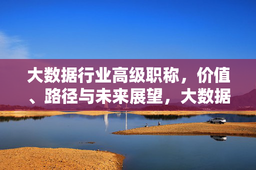 大数据行业高级职称，价值、路径与未来展望，大数据行业高级职称，价值、路径与未来展望
