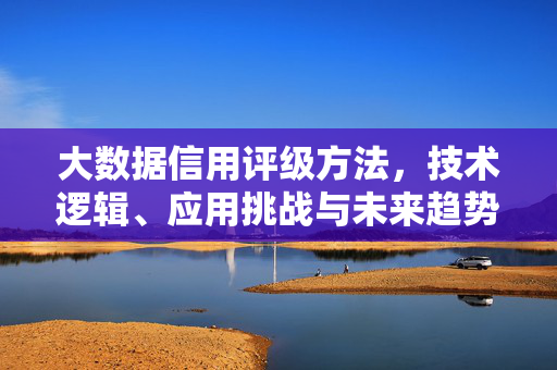 大数据信用评级方法，技术逻辑、应用挑战与未来趋势，大数据信用评级，方法、技术逻辑、应用挑战与未来趋势