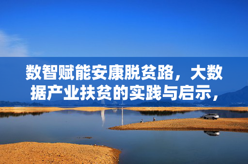 数智赋能安康脱贫路，大数据产业扶贫的实践与启示，数智赋能安康脱贫，大数据产业扶贫的实践与启示
