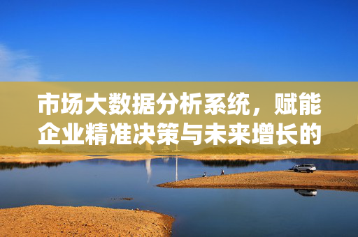 市场大数据分析系统，赋能企业精准决策与未来增长的新引擎，市场大数据分析系统，企业精准决策与未来增长的新引擎