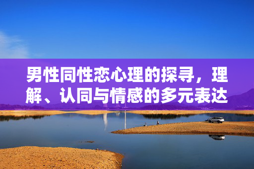 男性同性恋心理的探寻，理解、认同与情感的多元表达，探寻男性同性恋心理，理解、认同与情感多元表达