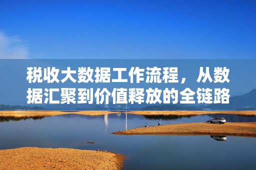 税收大数据工作流程，从数据汇聚到价值释放的全链路实践，税收大数据全链路实践，从数据汇聚到价值释放的工作流程