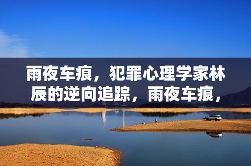 雨夜车痕，犯罪心理学家林辰的逆向追踪，雨夜车痕，犯罪心理学家林辰的逆向追踪