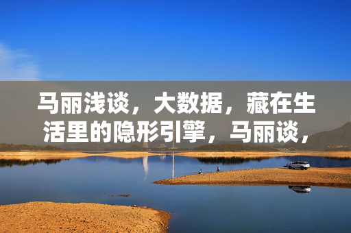马丽浅谈，大数据，藏在生活里的隐形引擎，马丽谈，大数据，生活里的隐形引擎