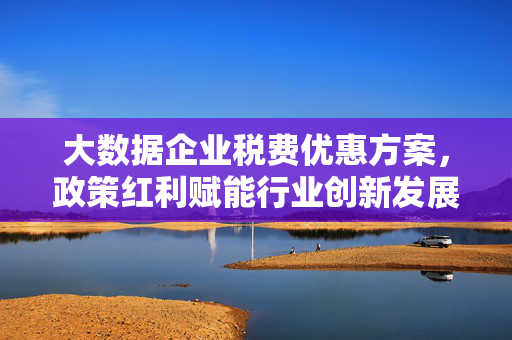 大数据企业税费优惠方案，政策红利赋能行业创新发展，大数据企业税费优惠，政策红利赋能创新发展