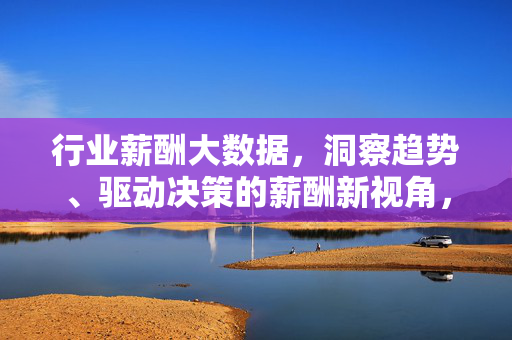 行业薪酬大数据，洞察趋势、驱动决策的薪酬新视角，行业薪酬大数据，洞察趋势、驱动决策的新视角