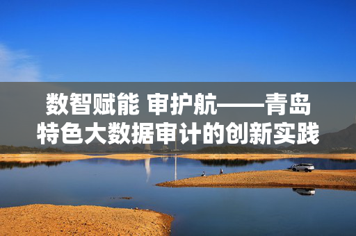 数智赋能 审护航——青岛特色大数据审计的创新实践与时代价值，青岛数智赋能大数据审计的创新实践与时代价值