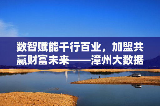 数智赋能千行百业，加盟共赢财富未来——漳州大数据营销全国加盟计划正式启动，数智赋能加盟共赢，漳州大数据营销全国加盟计划启动