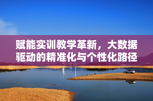 赋能实训教学革新，大数据驱动的精准化与个性化路径，大数据驱动实训教学革新，精准化与个性化路径