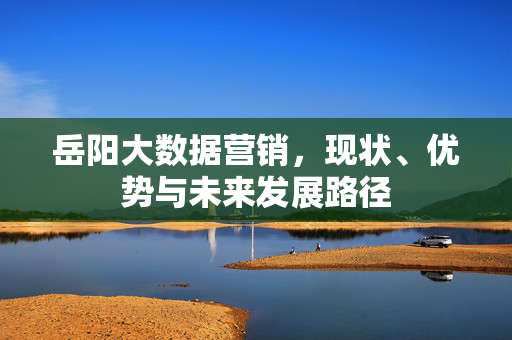 岳阳大数据营销，现状、优势与未来发展路径