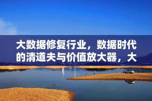 大数据修复行业,数据时代的清道夫与价值放大器,大数据修复,数据时代的清道夫与价值放大器