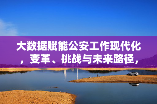 大数据赋能公安工作现代化，变革、挑战与未来路径，大数据赋能公安工作现代化，变革、挑战与未来路径