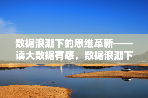数据浪潮下的思维革新——读大数据有感，数据浪潮下的思维革新——读大数据有感