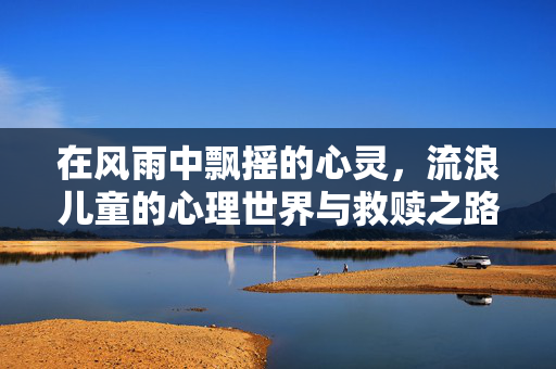 在风雨中飘摇的心灵，流浪儿童的心理世界与救赎之路，风雨飘摇的心灵，流浪儿童的心理救赎之路