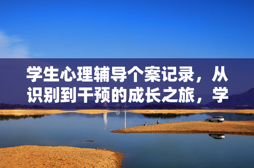 学生心理辅导个案记录，从识别到干预的成长之旅，学生心理辅导个案记录，从识别到干预的成长之旅