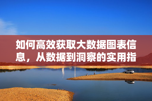 如何高效获取大数据图表信息，从数据到洞察的实用指南，从数据到洞察，大数据图表信息高效获取指南