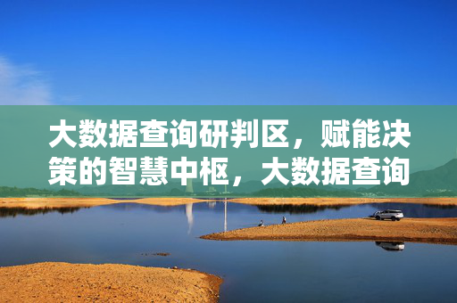 大数据查询研判区，赋能决策的智慧中枢，大数据查询研判区，决策赋能的智慧中枢