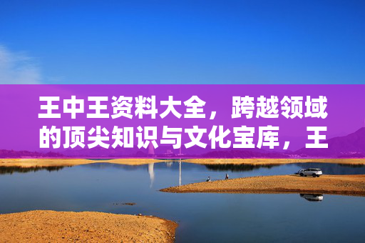 王中王资料大全,跨越领域的顶尖知识与文化宝库,王中王资料大全,跨越领域的顶尖知识与文化宝库