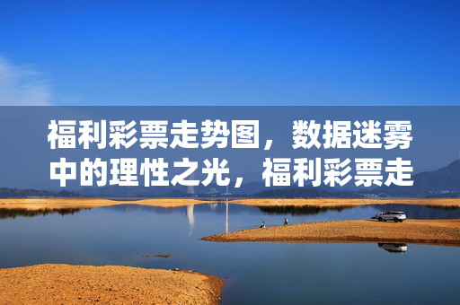 福利彩票走势图，数据迷雾中的理性之光，福利彩票走势图，数据迷雾中的理性之光