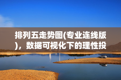 排列五走势图(专业连线版)，数据可视化下的理性投注指南，排列五专业连线走势图，数据可视化理性投注指南