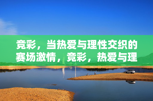 竞彩,当热爱与理性交织的赛场激情,竞彩,热爱与理性交织的赛场激情