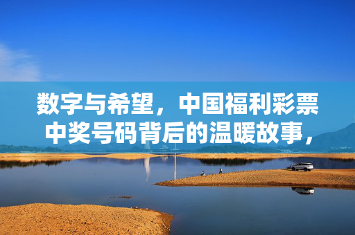数字与希望,中国福利彩票中奖号码背后的温暖故事,数字与希望,中国福利彩票中奖号码的温暖故事