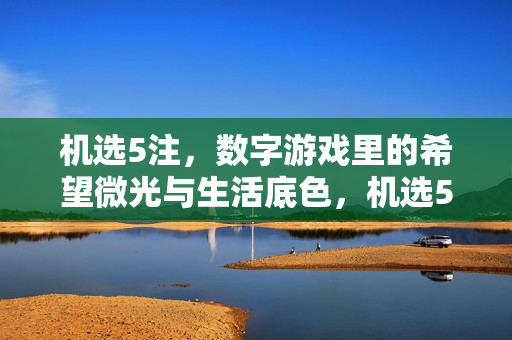机选5注，数字游戏里的希望微光与生活底色，机选5注，数字游戏里的希望微光与生活底色