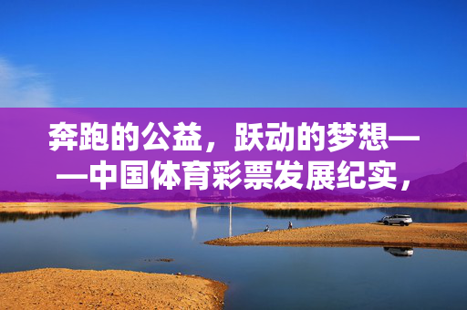 奔跑的公益,跃动的梦想——中国体育彩票发展纪实,奔跑公益,跃动梦想,中国体育彩票发展纪实