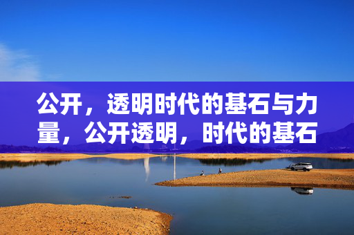 公开，透明时代的基石与力量，公开透明，时代的基石与力量