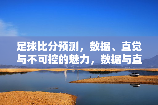 足球比分预测，数据、直觉与不可控的魅力，数据与直觉交织，足球比分预测的不可控魅力